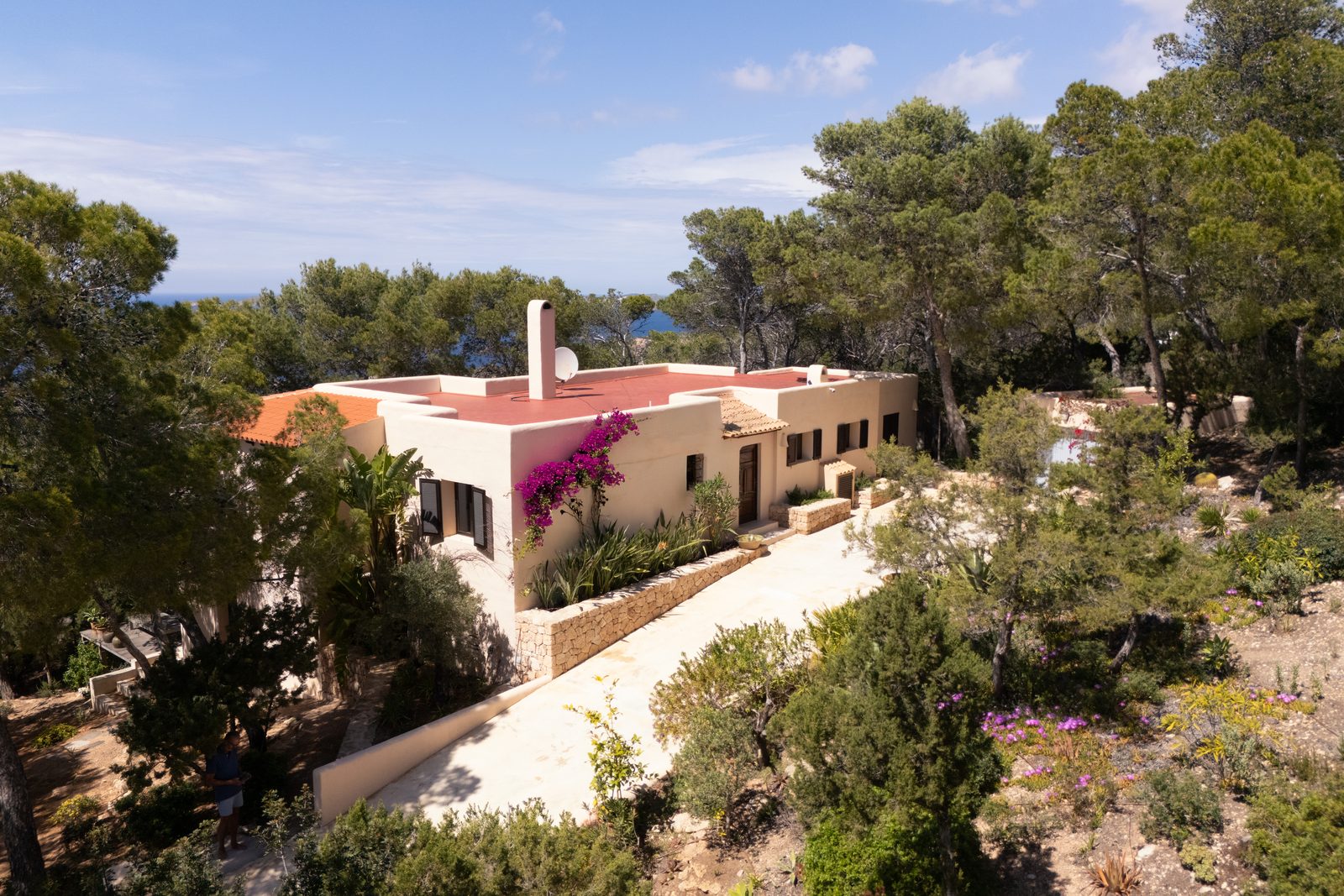 Aerial view of Can Beteigeuze surrounded by Ibiza pine trees